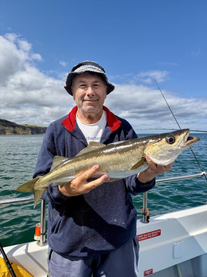 4 lb 12 oz Pollock by Jeff Turner