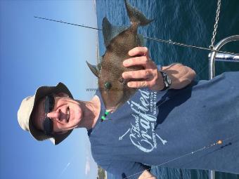 1 lb Trigger Fish by Peter Smith