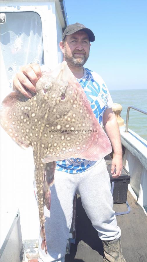 5 lb Thornback Ray by Mike