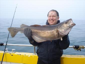 17 lb 10 oz Pollock by Melvin (The brag )