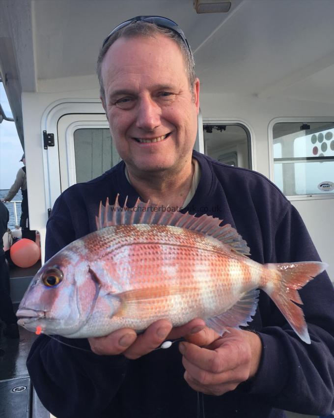 2 lb Couch's Sea Bream by Mark Turner