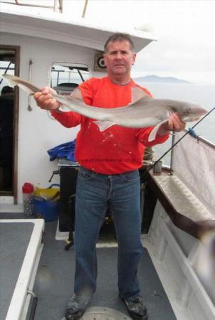 8 lb Starry Smooth-hound by Unknown