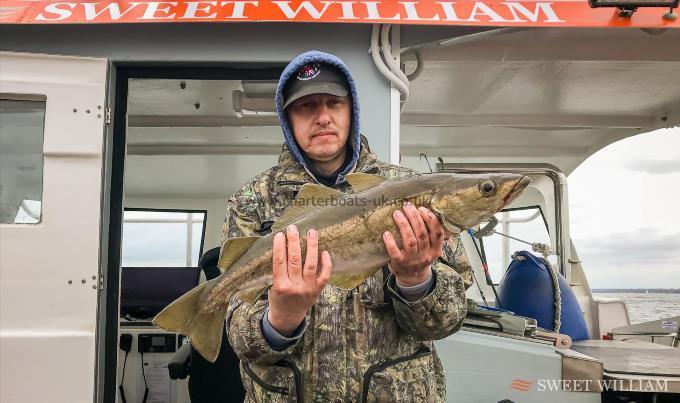 5 lb 8 oz Pollock by Unknown