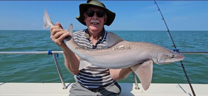 9 lb Starry Smooth-hound by Joe