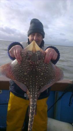 6 lb 5 oz Thornback Ray by pete