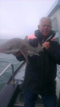 8 lb 2 oz Starry Smooth-hound by simon