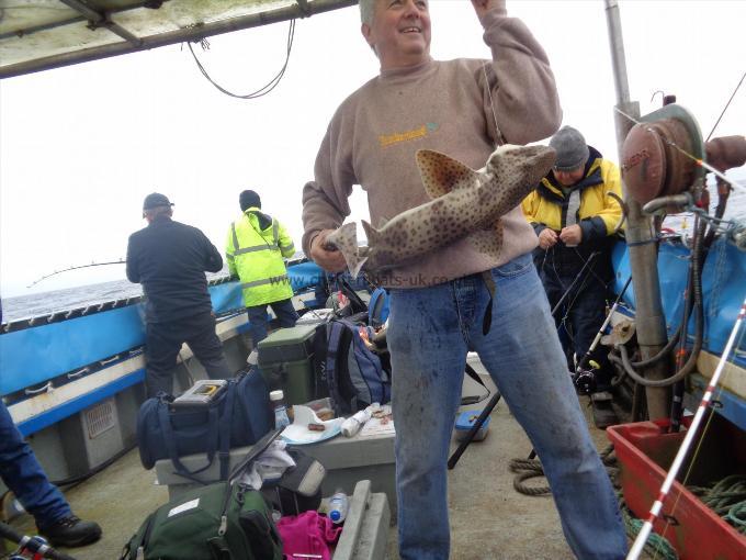 12 lb 9 oz Bull Huss by caught by dave