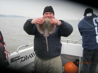 1 lb 11 oz Cuckoo Ray by Unknown