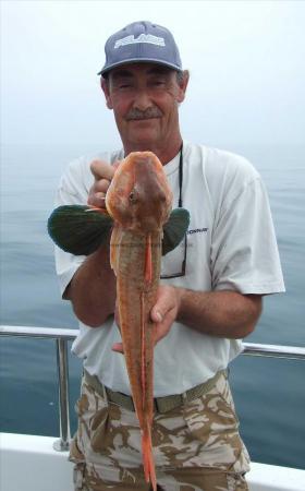 2 lb 14 oz Tub Gurnard by Paul Crockett