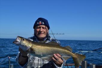 4 lb 5 oz Pollock by Unknown