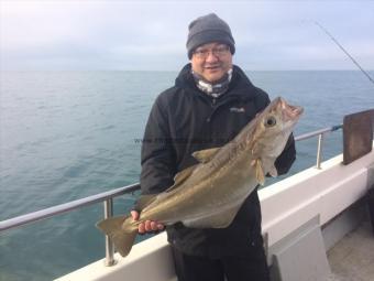 9 lb 4 oz Pollock by Mark