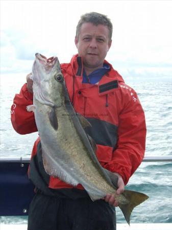 14 lb 4 oz Pollock by Shane Sturmey