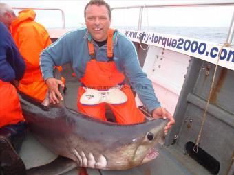 300 lb Porbeagle by Dave Brown frrom Hull.