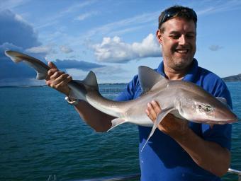 11 lb Starry Smooth-hound by Dave Barham