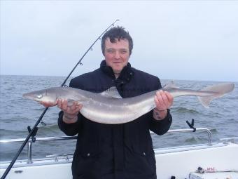 14 lb 8 oz Spurdog by Paul Lowe