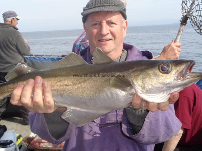 6 lb 8 oz Pollock by one of many caught by paul