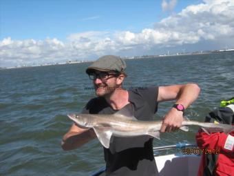 6 lb 5 oz Starry Smooth-hound by Unknown