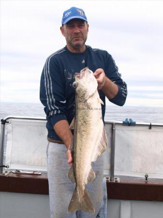 11 lb 3 oz Pollock by Unknown