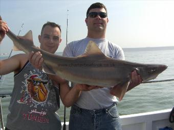24 lb 6 oz Smooth-hound (Common) by unknown
