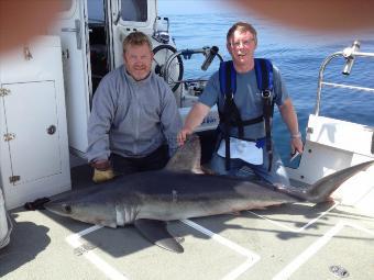 162 lb Porbeagle by tony grey