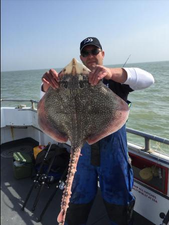 15 lb 8 oz Thornback Ray by Unknown