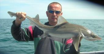 10 lb Smooth-hound by Mick Phillips