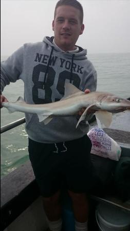 5 lb 2 oz Starry Smooth-hound by Adam from Whistable