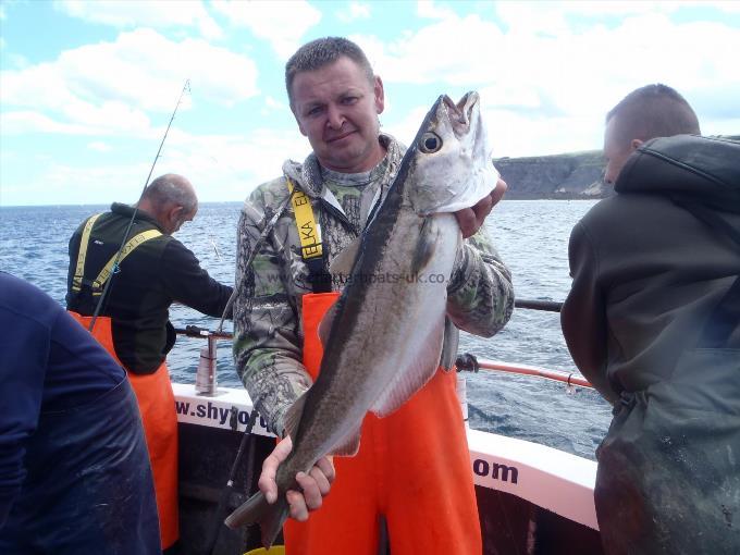 7 lb 1 oz Pollock by Artur Karbarz.