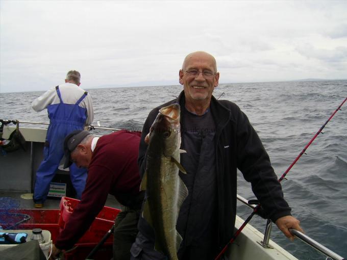 6 lb 5 oz Pollock by Unknown