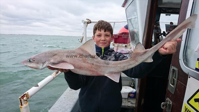 12 lb 3 oz Smooth-hound (Common) by Freddy from Kent