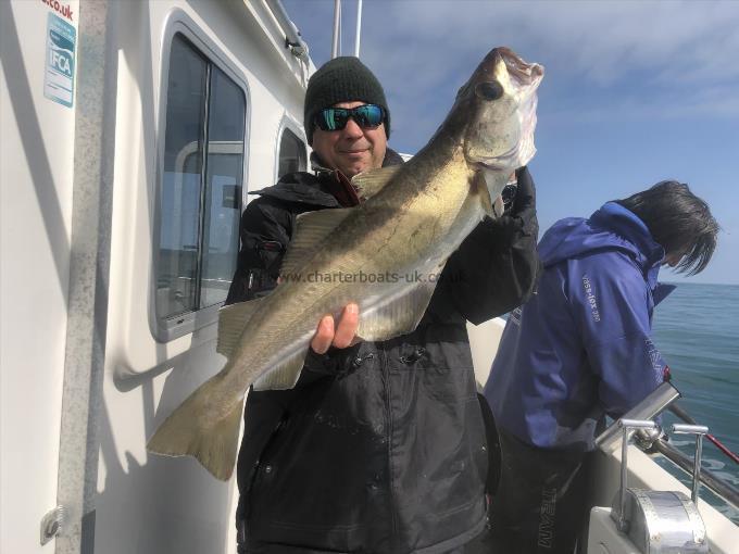 8 lb 8 oz Pollock by Unknown