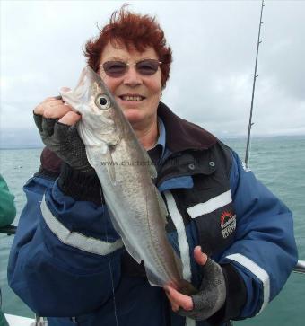 2 lb 14 oz Whiting by Denise Youngs
