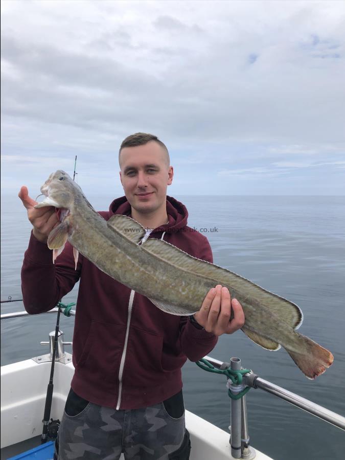 4 lb Ling by Ling - 4lb