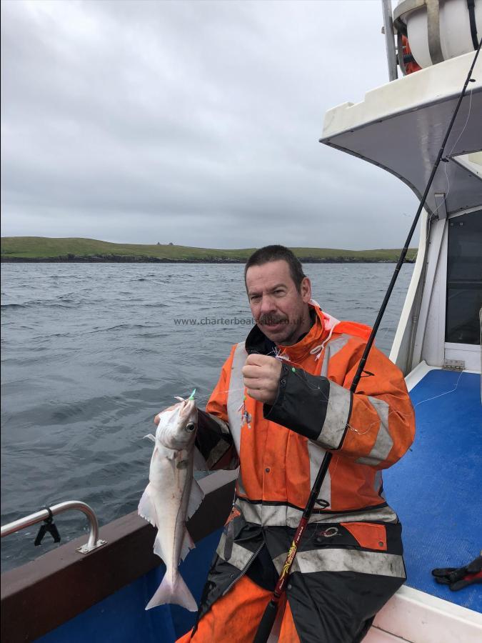 6 lb Haddock by Unknown