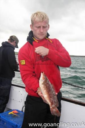 2 lb Ballan Wrasse by Mike