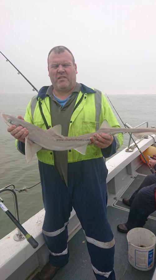 4 lb 7 oz Smooth-hound by Bison