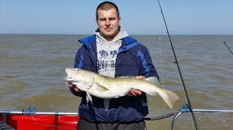 11 lb Cod by Pawel