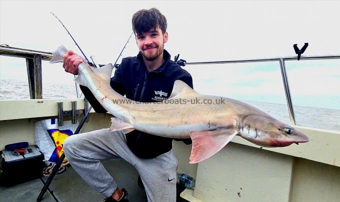 17 lb Smooth-hound (Common) by Finley