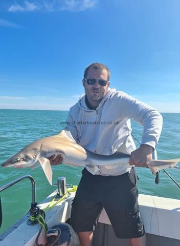 15 lb 3 oz Smooth-hound (Common) by Unknown