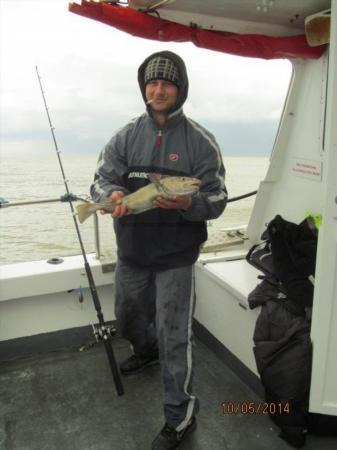 3 lb 5 oz Cod by Mateusz