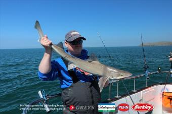 6 lb Starry Smooth-hound by Mikee