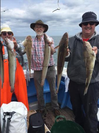 7 lb Cod by 7th july