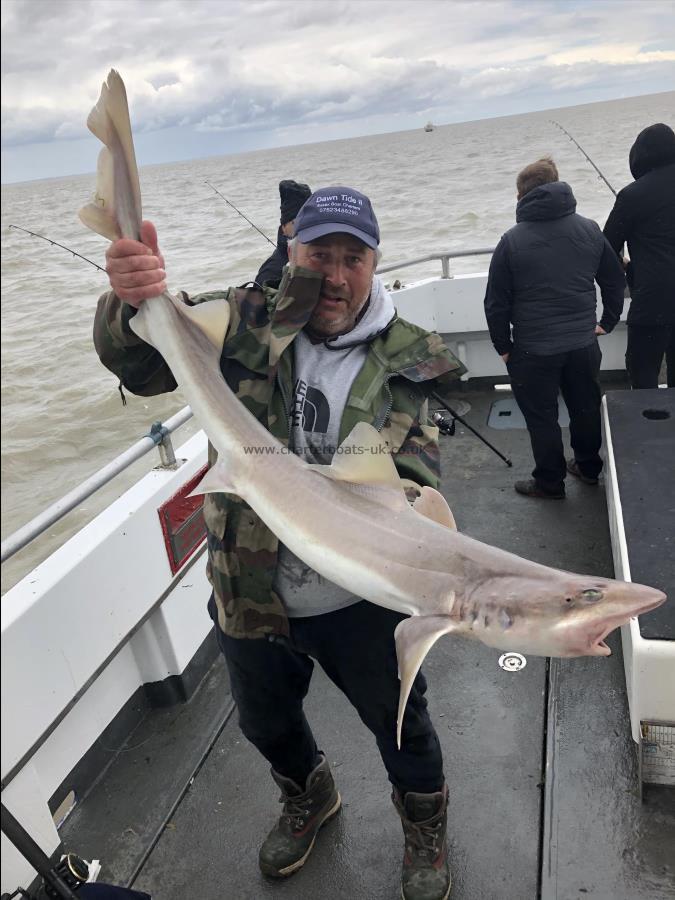 18 lb Smooth-hound (Common) by Unknown