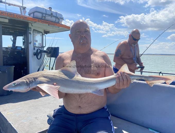 11 lb Smooth-hound (Common) by Unknown