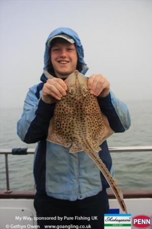 2 lb Spotted Ray by Jay