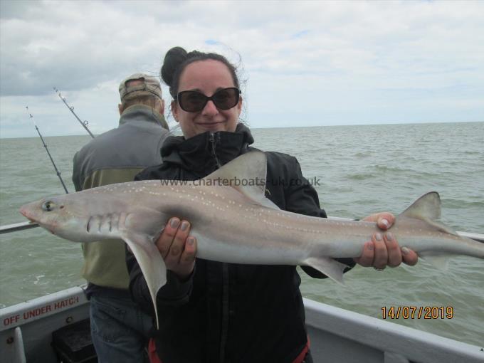 16 lb 2 oz Smooth-hound (Common) by Emma with her smooth hound