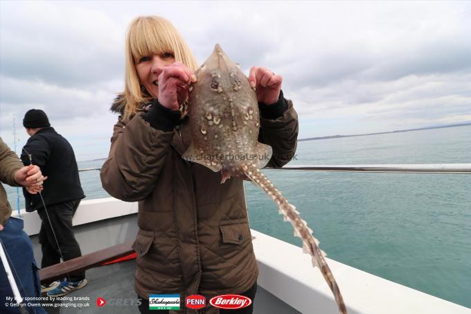 3 lb Thornback Ray by Trish