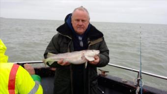 2 lb 9 oz Cod by Peter