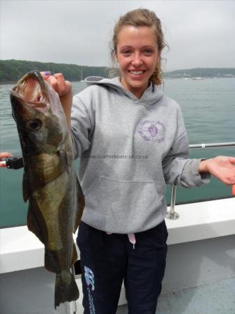 8 lb Pollock by Mr Atkins group