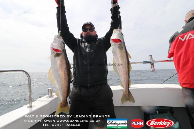 9 lb Pollock by Dave